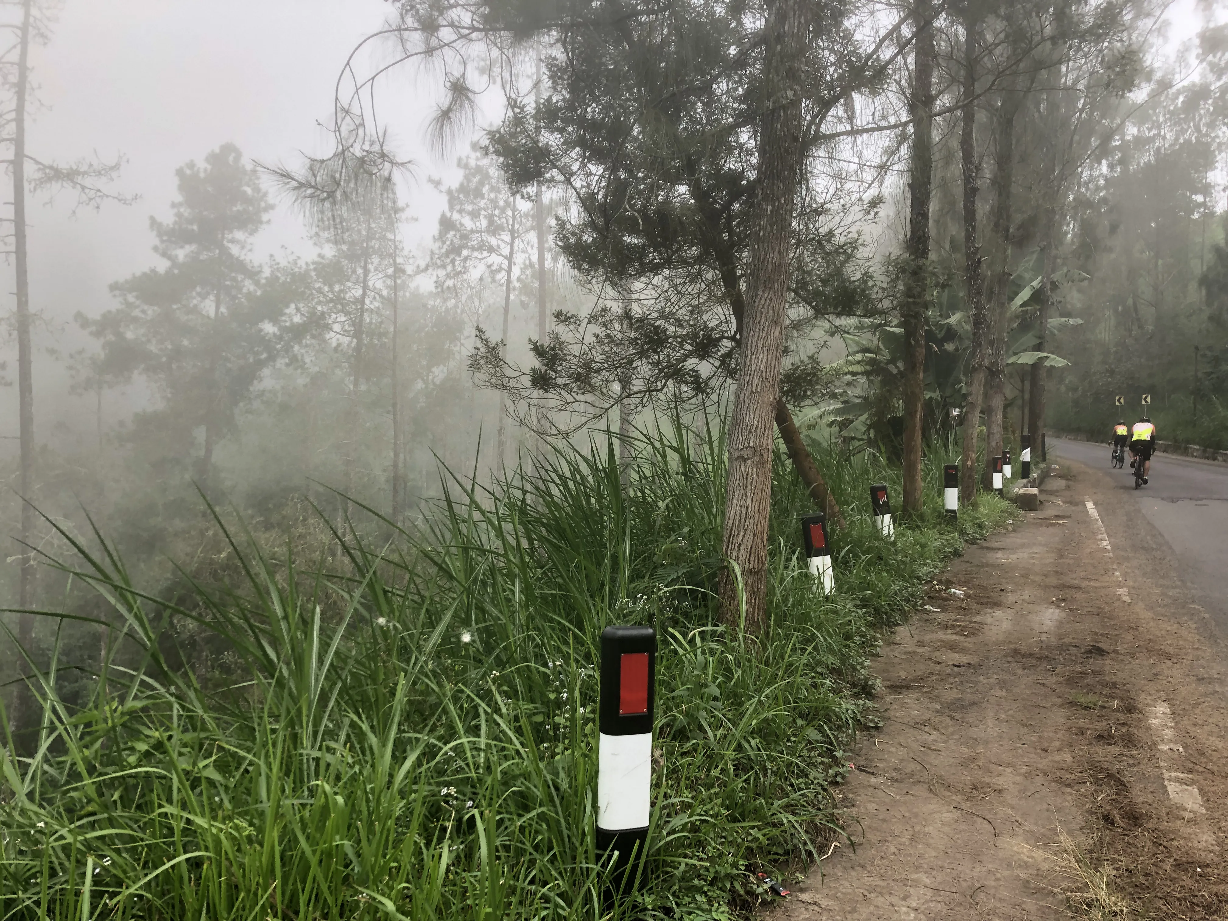 A photo I took during my rest. Yes it's foggy, we're up high in the mountain.